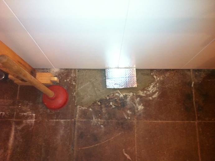 Beschreibung: F:\Users\meinhoka\Pictures\2011-05-30\IMG_1089.JPG