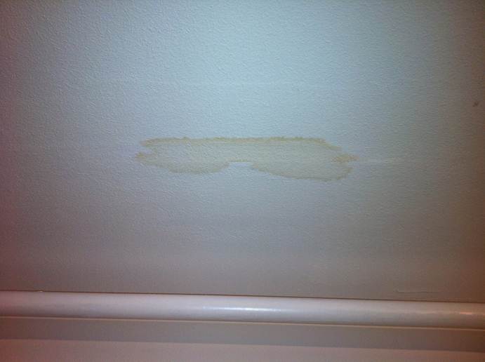 Beschreibung: F:\Users\meinhoka\Pictures\2011-06-08\IMG_1131.JPG