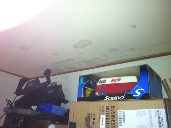 Beschreibung: F:\Users\meinhoka\Pictures\2011-06-09\IMG_1142.JPG