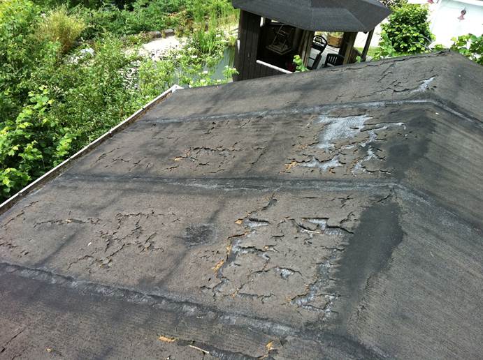 Beschreibung: F:\Users\meinhoka\Pictures\2011-06-10\IMG_1143.JPG