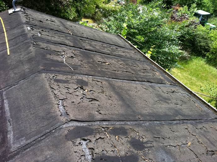 Beschreibung: F:\Users\meinhoka\Pictures\2011-06-10\IMG_1144.JPG