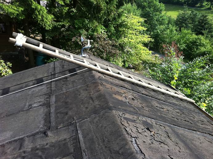 Beschreibung: F:\Users\meinhoka\Pictures\2011-06-10\IMG_1150.JPG