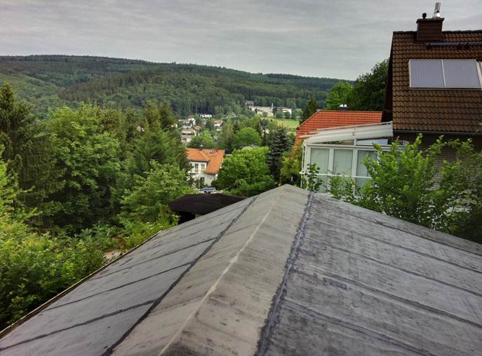 Beschreibung: F:\Users\meinhoka\Pictures\2011-06-15\IMG_1222.JPG