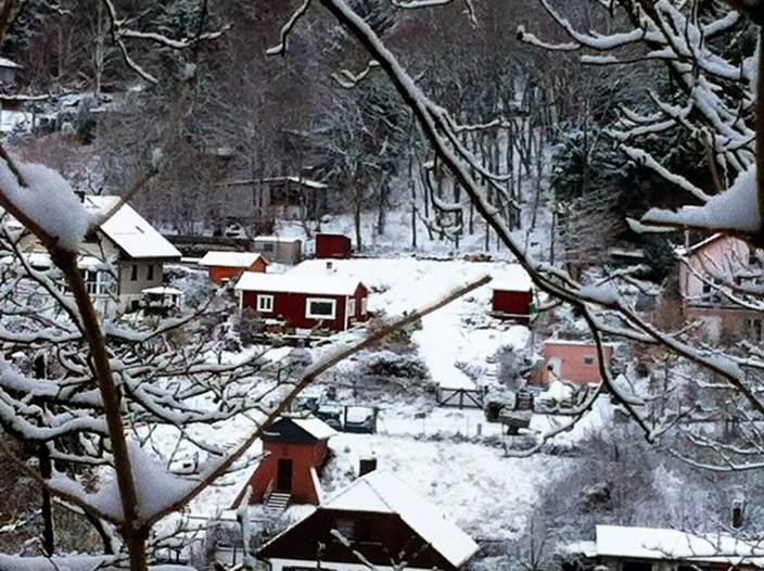 Beschreibung: F:\Users\meinhoka\Pictures\2011-12-18\IMG_2308.JPG