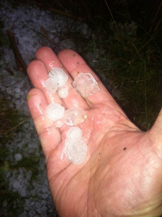 Beschreibung: Beschreibung: F:\Users\meinhoka\Pictures\2011-09-11\IMG_1806.JPG